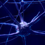 Dolore Neuropatico: combatterlo con terapie mirate